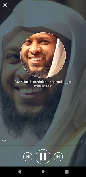 Tawfik As Sayegh Holy Quran Screenshot 1