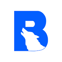 BlueWolf Security