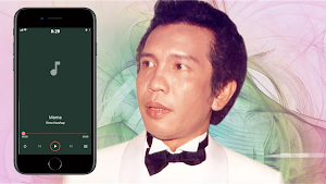 Rinto Harahap Mp3 Offline Screenshot 2