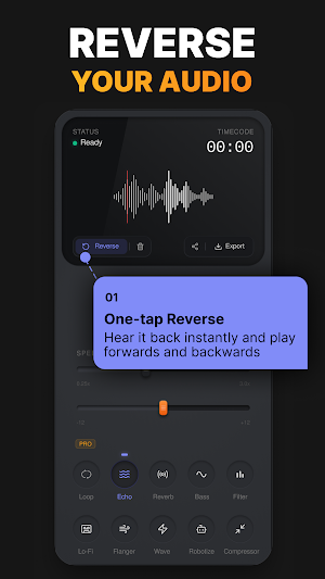 Reverse Audio: Voice Effects Screenshot 1
