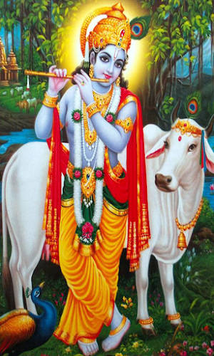 Bhagavatam in Telugu Screenshot 1