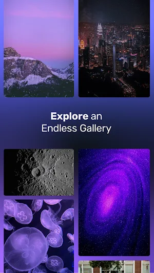 Fondito Wallpapers Screenshot 2