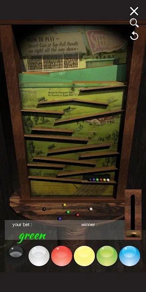 STEEPLECHASE Racing Game Stimu Screenshot 1