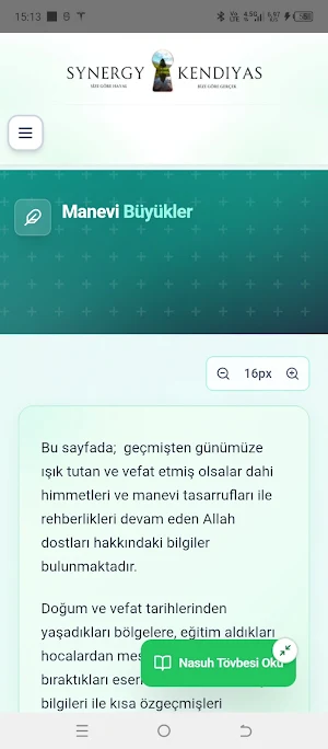 Synergy Kendiyas Screenshot 3