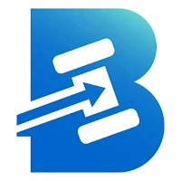 BIDZ Pay