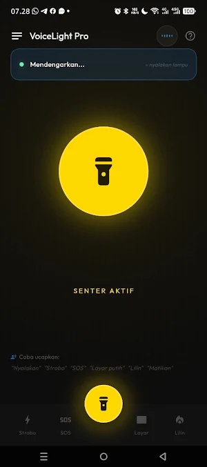 Voice Light Pro Screenshot 0