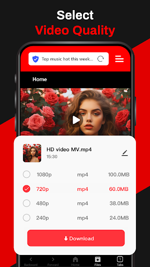 Video Easy Downloader Screenshot 1