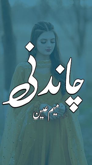 Chandni Urdu Romantic Novel Screenshot 0