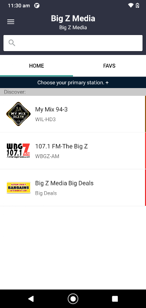 Big Z Media Screenshot 0