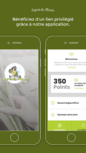 Esprit de Fleurs Screenshot 0