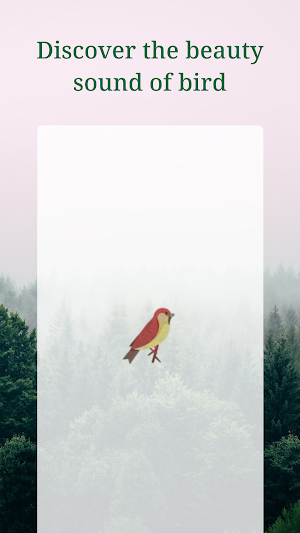Sound of Bird: Natural Habitat Screenshot 0