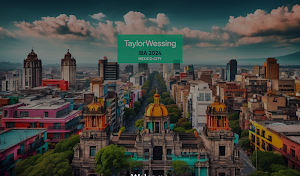 TW IBA 2024 Screenshot 3