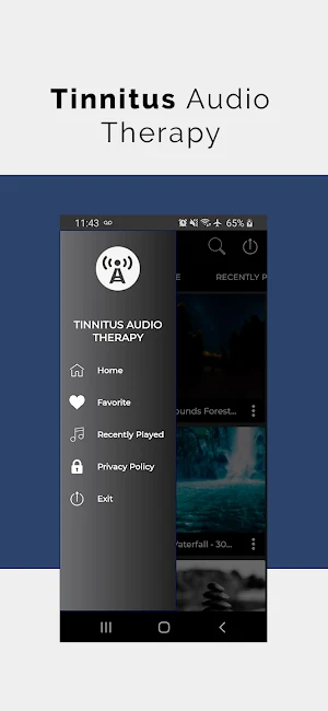 Tinnitus Audio Therapy Screenshot 0