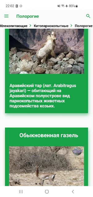 Животные Эмиратов Screenshot 3