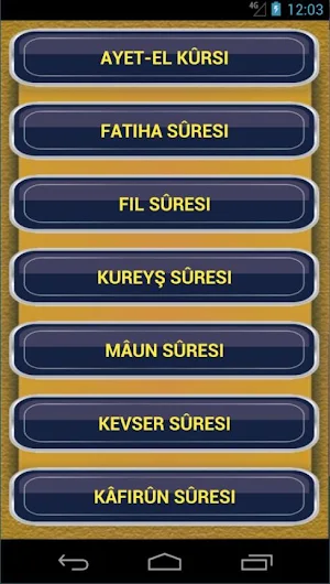 Namaz Sureleri ve Duaları Sesli Screenshot 0