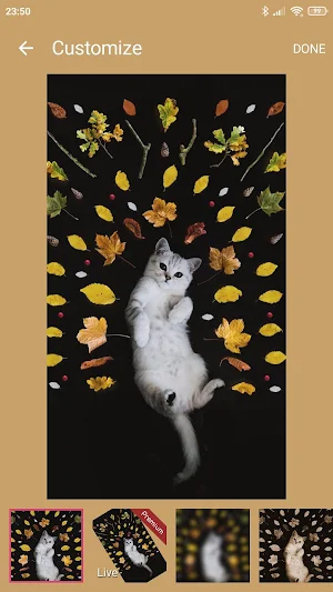 Wallbay - Live Wallpaper Maker, Video wallpaper Screenshot 2