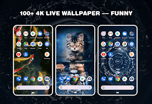 Live wallpaper-Video wallpaper Screenshot 2