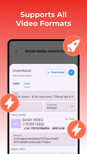 Videra: All Video Downloader Screenshot 3