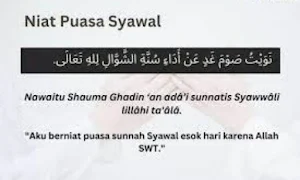 Tuntunan Puasa Sunnah Syawal Screenshot 3