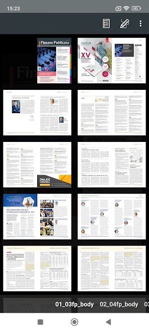 Finanse Publiczne Screenshot 3