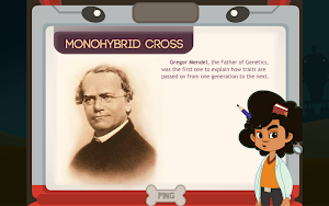 Monohybrid Cross Screenshot 2