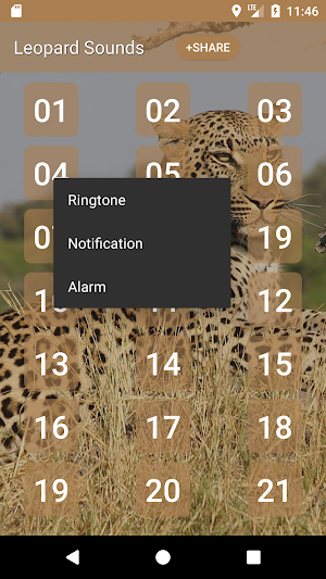 Leopard (Animal) Sounds Screenshot 2