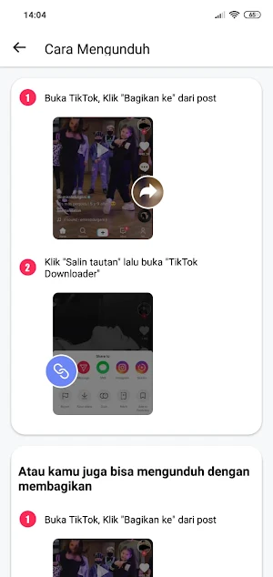 TikSmart Saver - No Watermark Screenshot 0