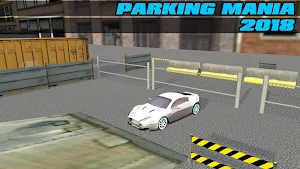 Parking Mania 2018 Screenshot 0