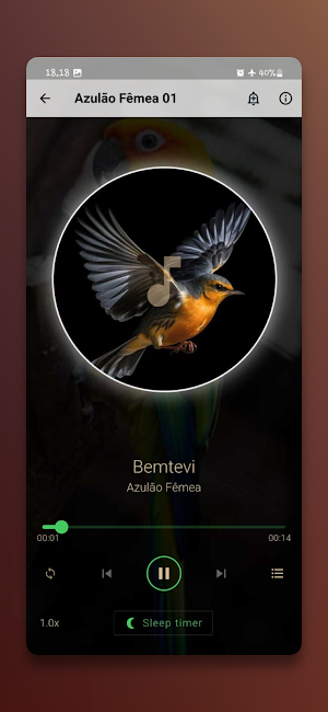 Canto Do Azulão Fêmea Screenshot 2