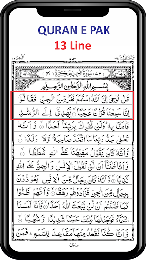 The Holy Quran Kareem - 13 Line - Taj Company Screenshot 3