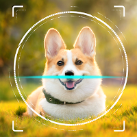 Dog Breed Identifier by Photo