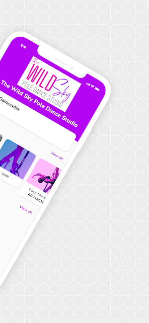 The Wild Sky Pole Dance Studio Screenshot 1