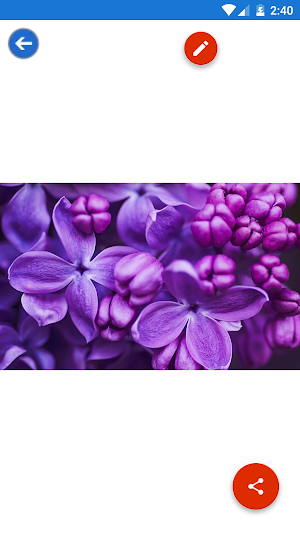 Cactus, Iris, Lavender, Lilac  Screenshot 1