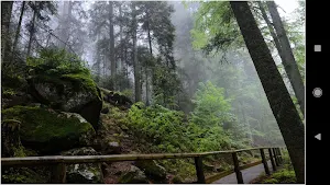 Germany Nature Wallpapers Screenshot 2