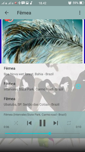 Canto Fêmea Bico de Pimenta Screenshot 3