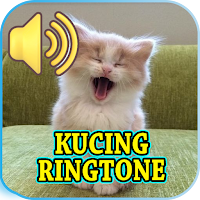 Suara Kucing Ringtone Offline