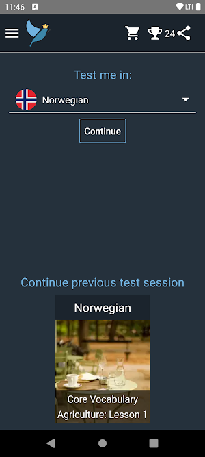 Norwegian Language Tests Screenshot 0