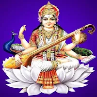 Vidhya Sagar EM School