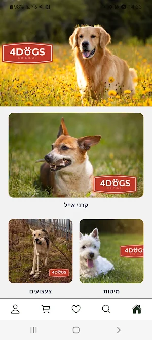 4Dogs Original Screenshot 0