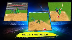 Real World Cricket Tournament 2019- Cricket Games Screenshot 2