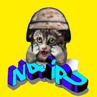 N4ipu Game Shop