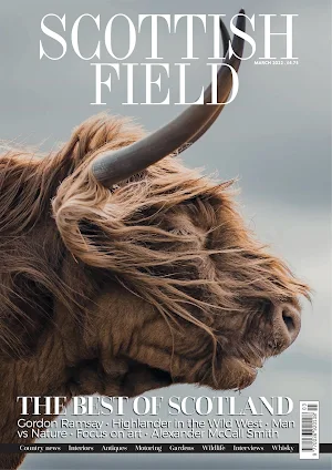 Scottish Field Magazine Screenshot 2