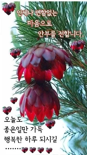 커뮤니케이션을 위한 인사말 카드 Screenshot 0