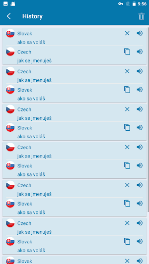 Slovak Czech Translation Screenshot 2