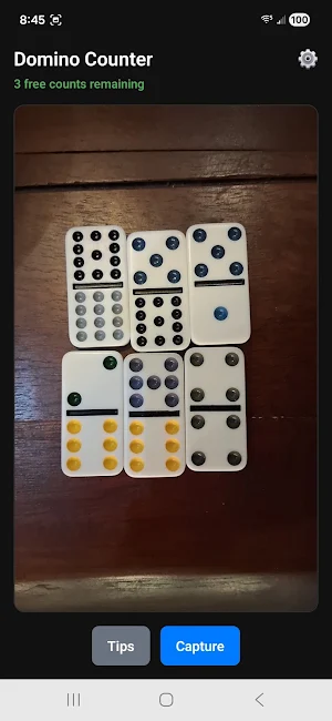 AI Domino Pip Counter Screenshot 1