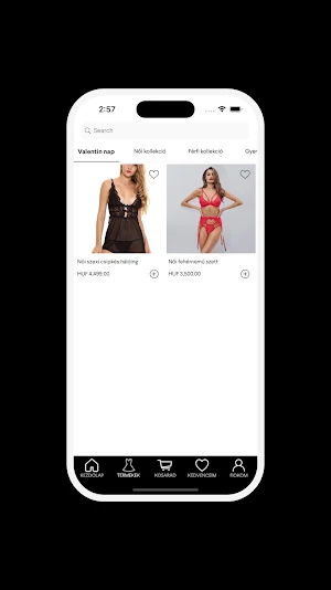 Nagykeronline Screenshot 2