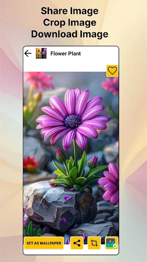 Flowers Wallpaper 4K-HD Photos Screenshot 3