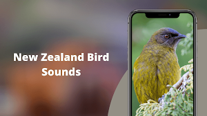NewZealand Bird Sounds Screenshot 1