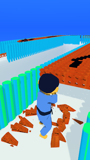 Kungfu Bricks Screenshot 0