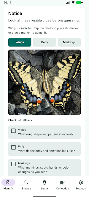 Butterfly Discover Screenshot 0